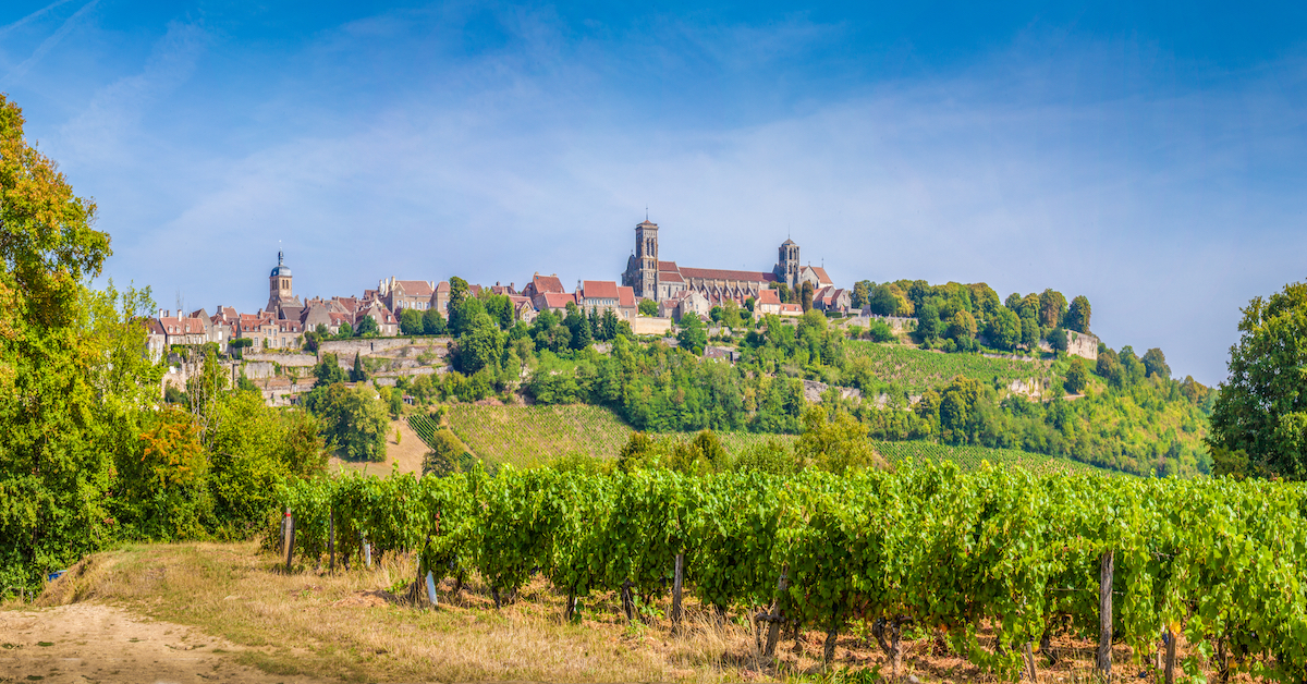 Vineyard with the village of Vezelay in Burgundy, France atop a hill in the background - 25th Wedding Anniversary Ideas