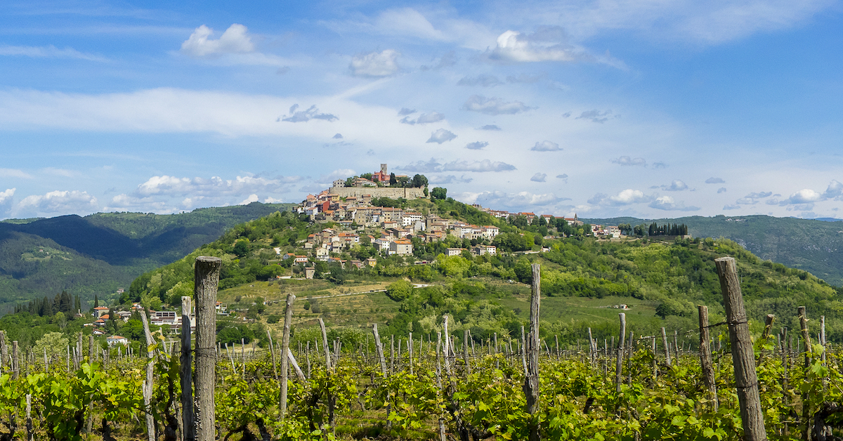 Vineyards in the foreground with a town perched on a hill in the distance in Istria, Croatia
