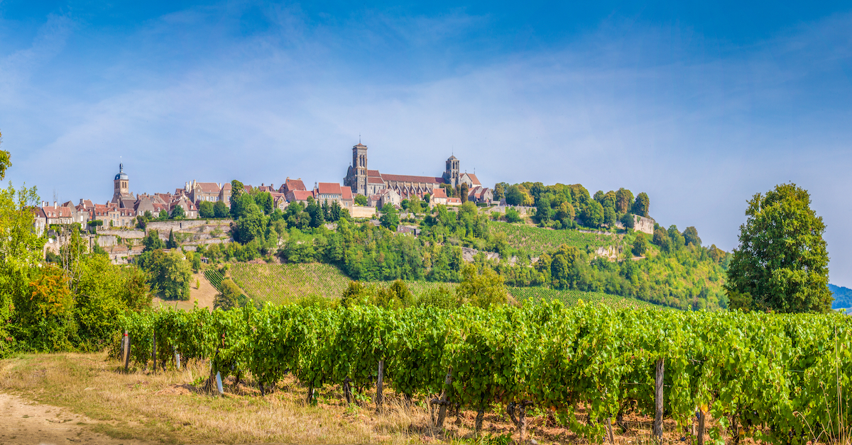 Vineyards with the commune of Vezelay on a hilltop in the background in Burgundy, one of many great France honeymoon destinations