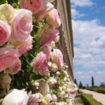 Bright pink peonies in Jardin de Los Frailes growing along the stone wall of San Lorenzo de El Escorial