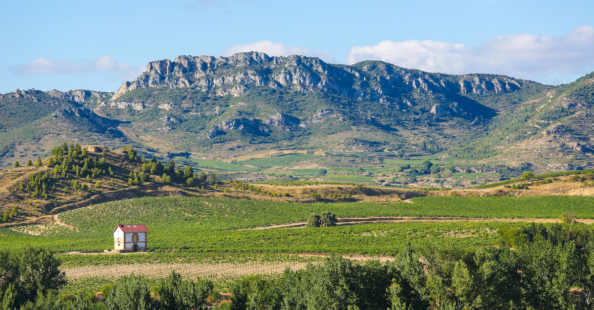 Distant small white house in the middle of green vineyards with mountains in the background in La Rioja, Spain