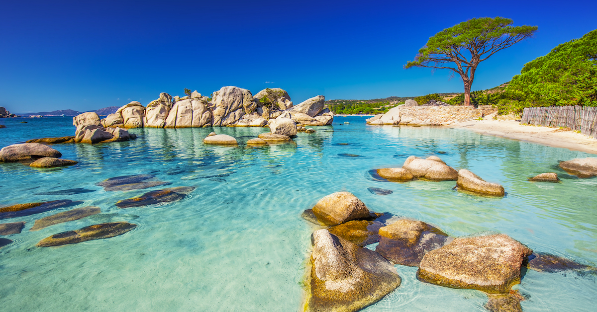 Clear blue water with beige rocks and trees in the background at Palombaggia in Corsica, France