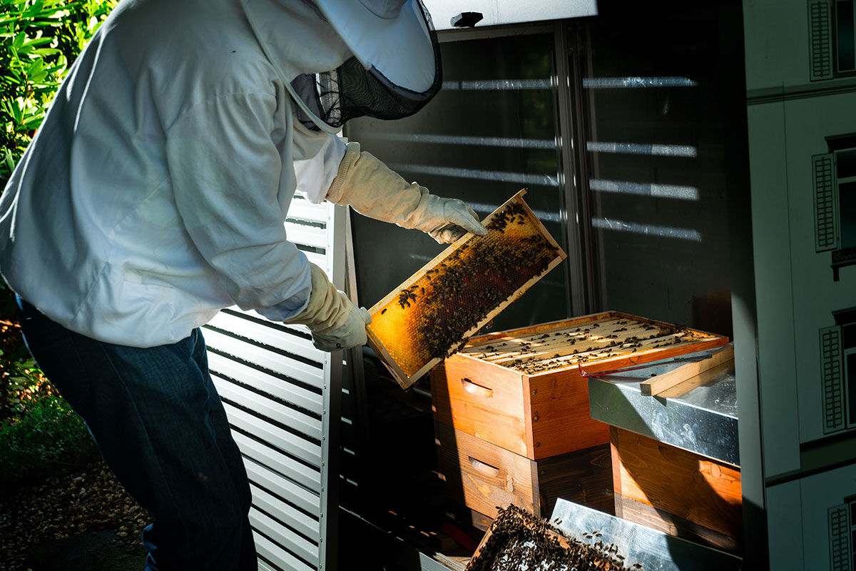 <b>Baur au Lac</b> - Located in the heart of Zurich and on its own private park, the Baur au Lac is only a few minutes’ walk to the celebrated high-end shopping street, Bahnhofstrasse. With bright and stately construction, this posh hotel fills the senses with grandeur and creativity.