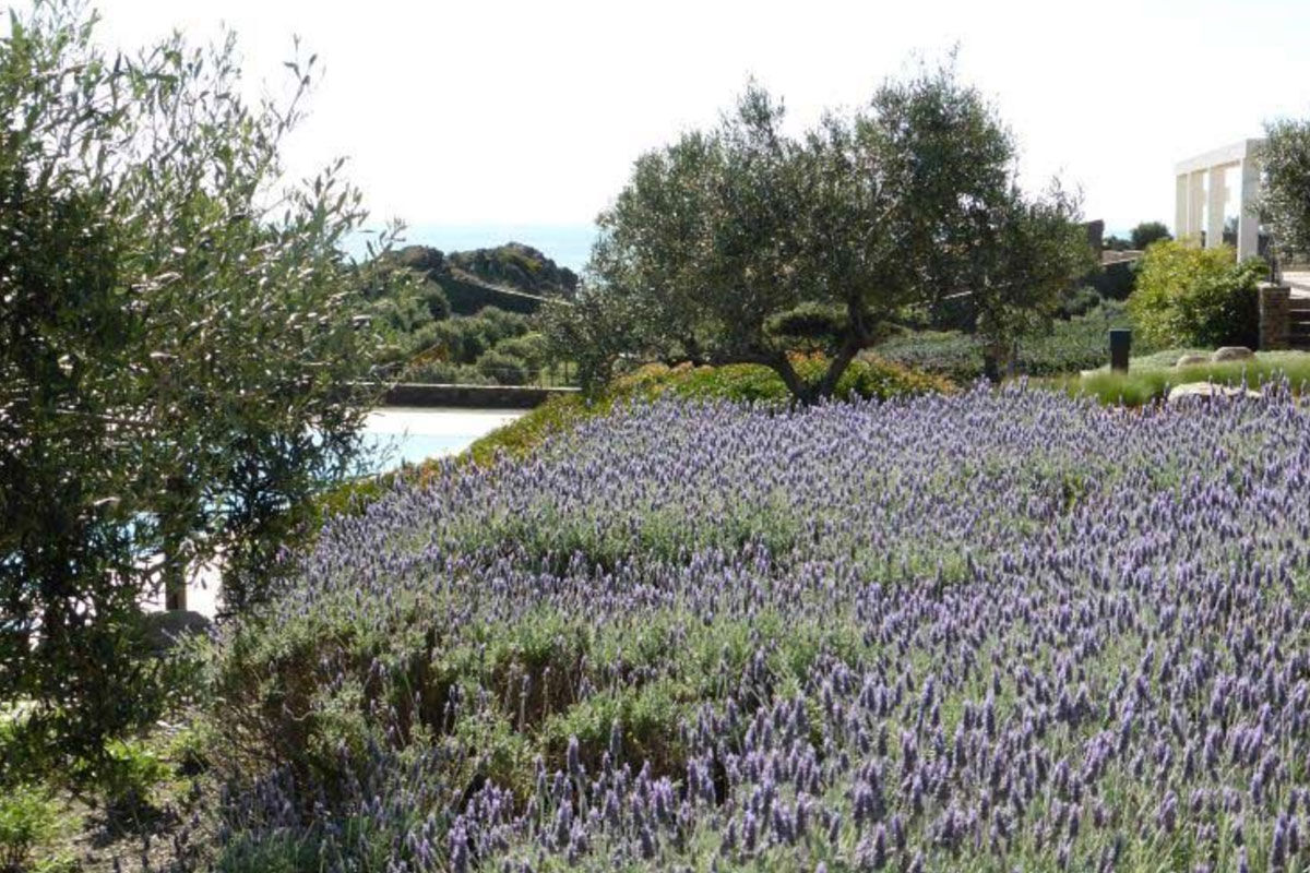 <b>Hotel Sol Ixent, Cadaques</b> - With views of the Mediterranean, this charming boutique hotel is nestled right in the beautiful Cap de Creus Natural Park. With a pool, Mediterranean restaurant, bar and patio, Hotel Sol Ixent is a quaint oasis with a central location to Gran Beach, Salvador Dali’s Portlligat Museum-House and the Celler Martin Faixo vineyard.