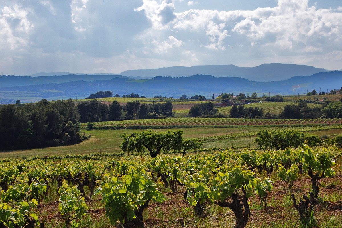 <b>Can Bonastre Wine Resort, Masquefa</b> - Boasting over 460 years of wine history and set in a 16th century farmhouse, the Can Bonastre Wine Resort sits below the Monteserrat mountain range and is surrounded by vineyards. Wander from your polished room, head past the chic spa and sauna, meander through the landscaped gardens, and arrive just in time for your wine tasting tour.