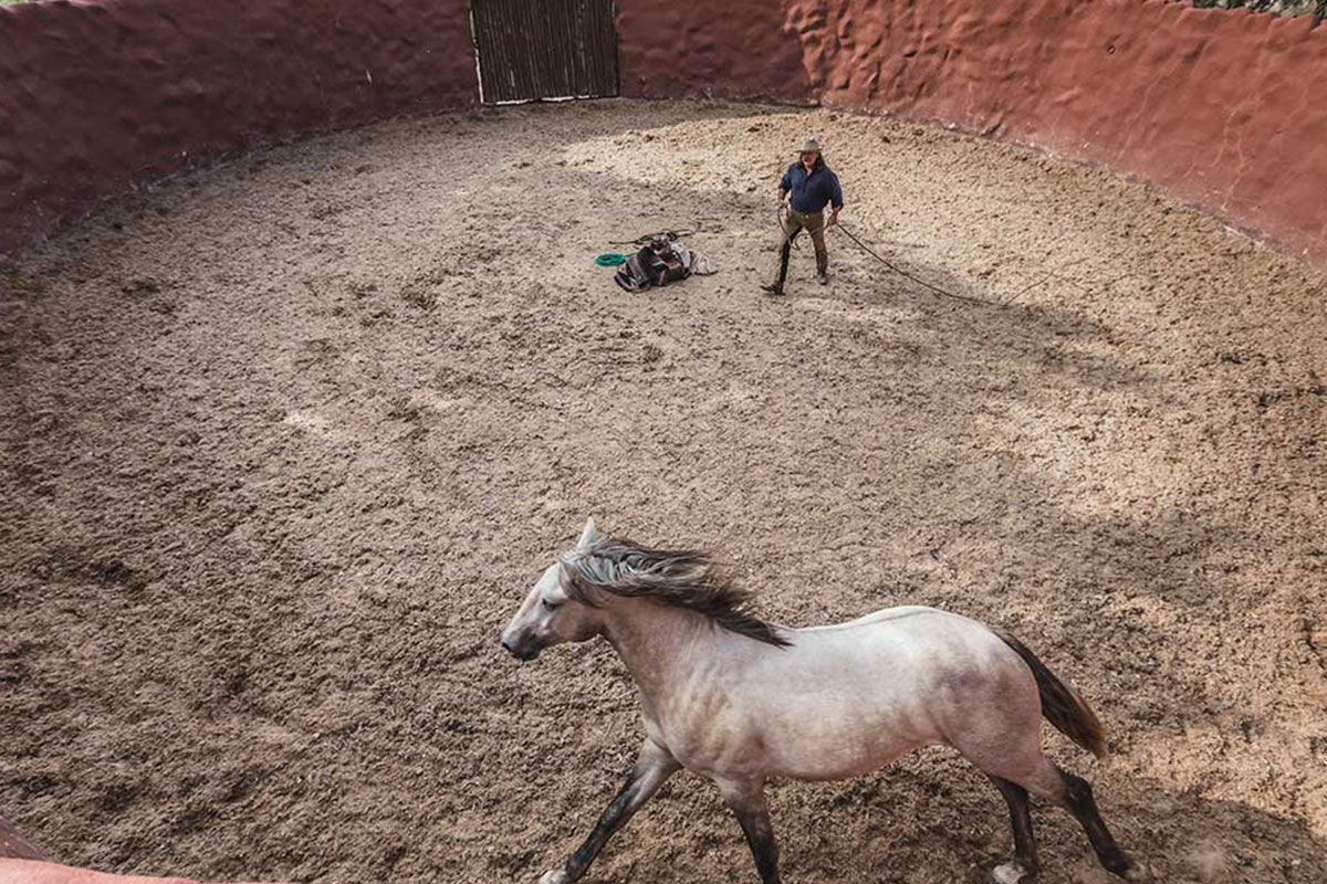 <b>La Donaira, Malaga</b> - La Donaira is an ecological luxury hotel located high in the Serrania de Ronda with an organic farm and equestrian center. With only nine individually designed rooms, guests can feel the authenticity and intimacy during their stay.