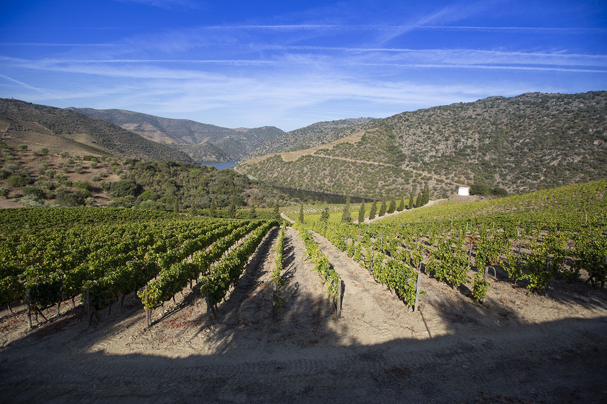 <b>The Vintage House Douro, Pinhao</b> - Before it was restored into an upscale retreat hotel, the Vintage House Douro was an old wine estate encircled by the tranquil hills of the Douro River Valley. It’s no surprise that this hotel pulls from its heritage and offers wine tasting sessions next to the fireplace in the cozy bar.