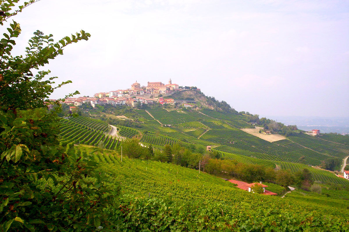 <b>Arborina Relais</b> - Surrounded by Barolo hill vineyards and sitting atop lush grounds, the Arborina Relais is a modern boutique hotel that offers luxury and style. The architectural lines, large windows and natural materials make it an experience hand in hand with nature.